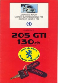 P_205 gti 130 87