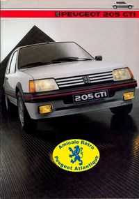 P_205 gti 84
