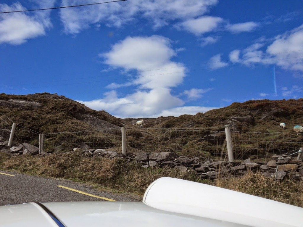 Irland 165