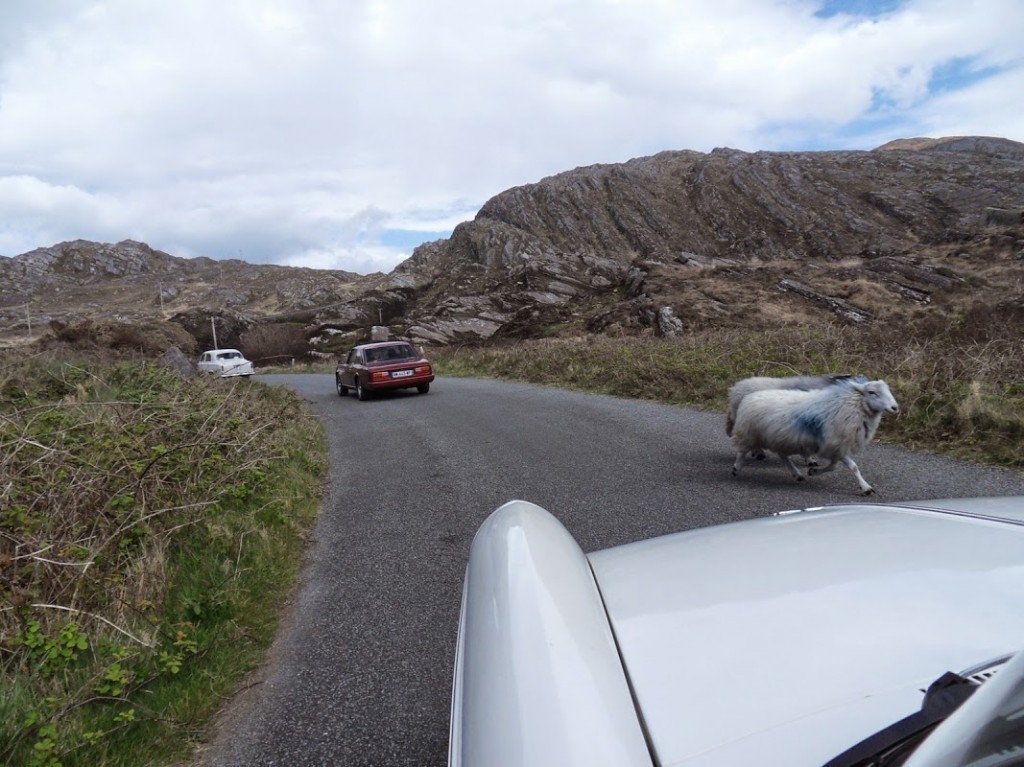 Irland 166