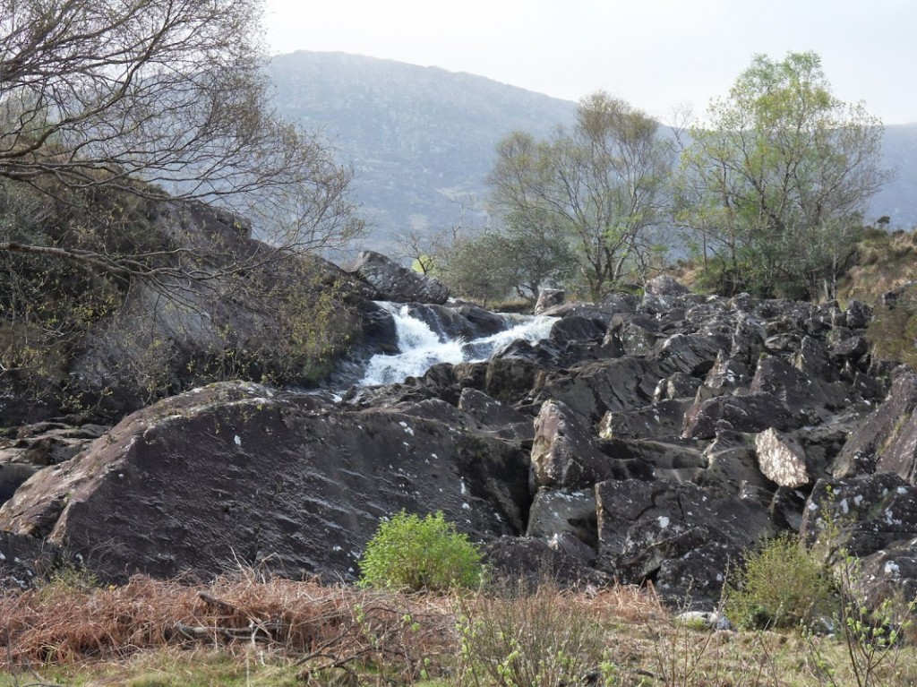 Irland 289