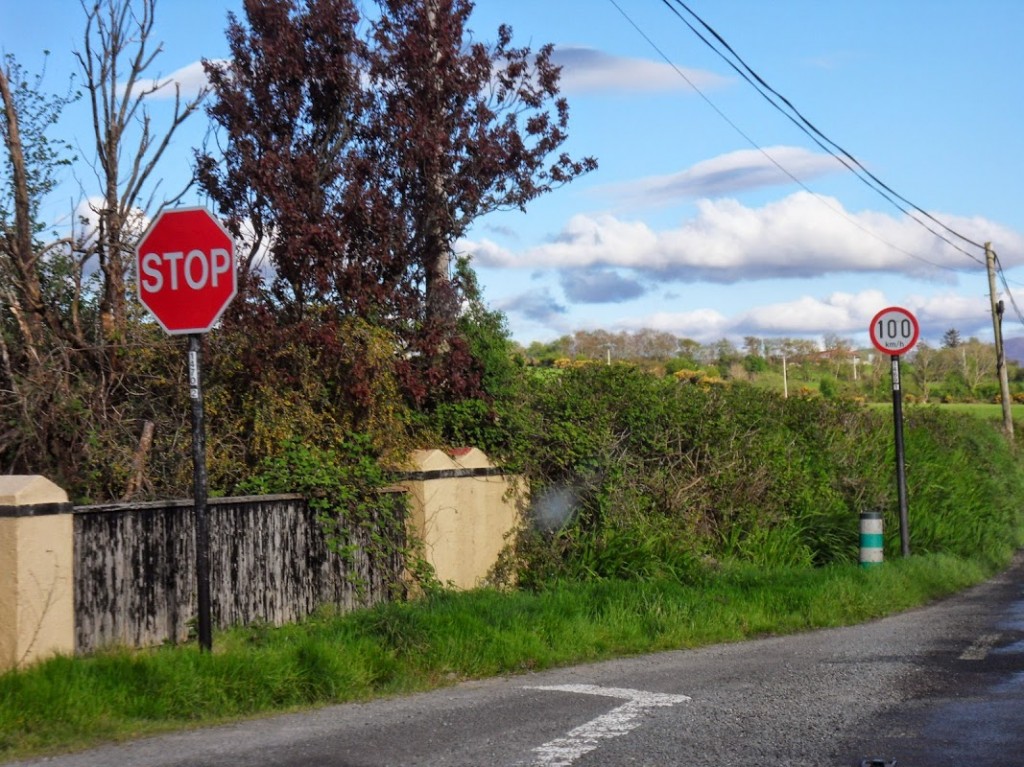 Irland 350
