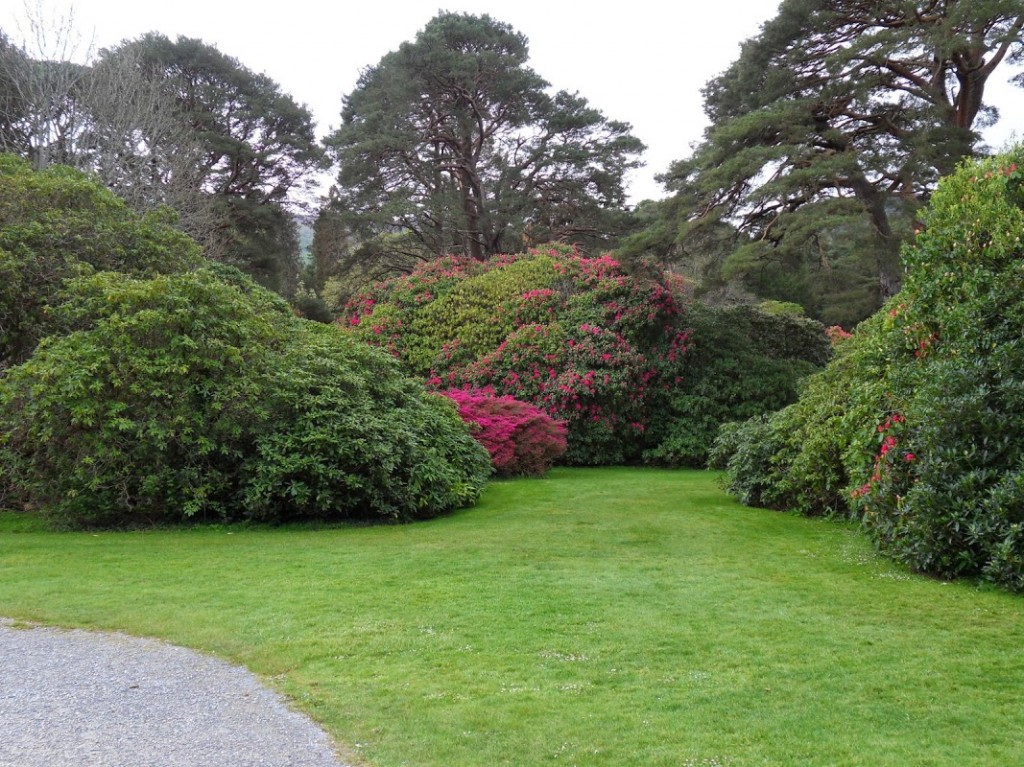 Irland 360