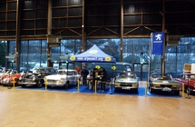 2015_01_11 Expo de la Beaujoire